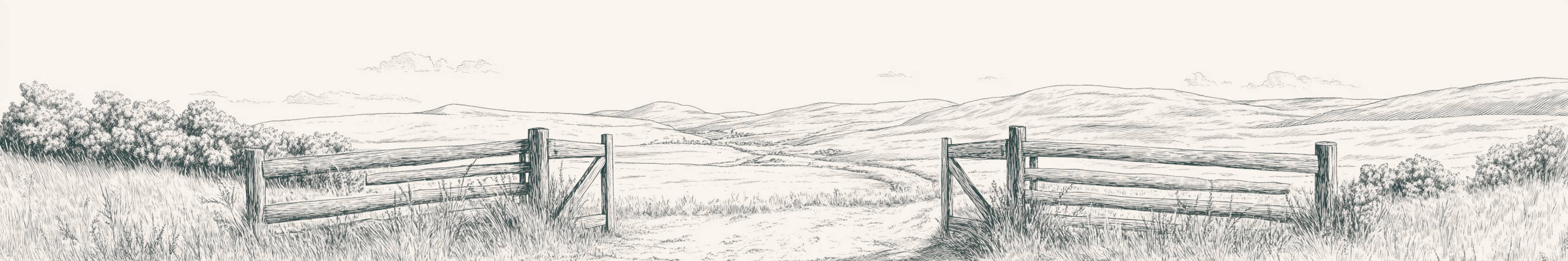 Scenic landscape from a walk